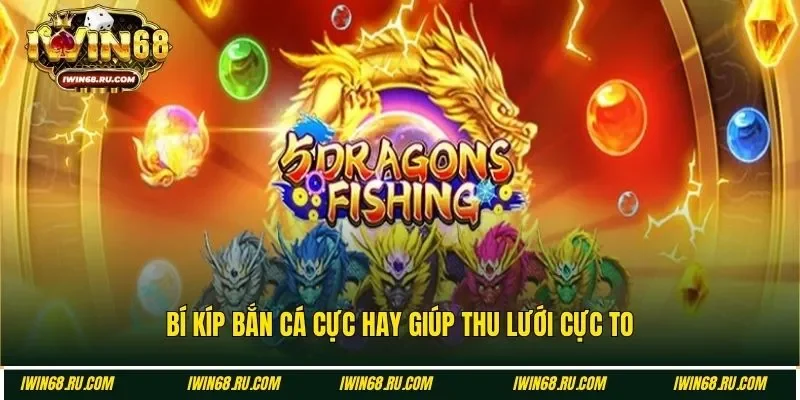 Bí kíp săn Ngũ Long thu lưới cực khủng