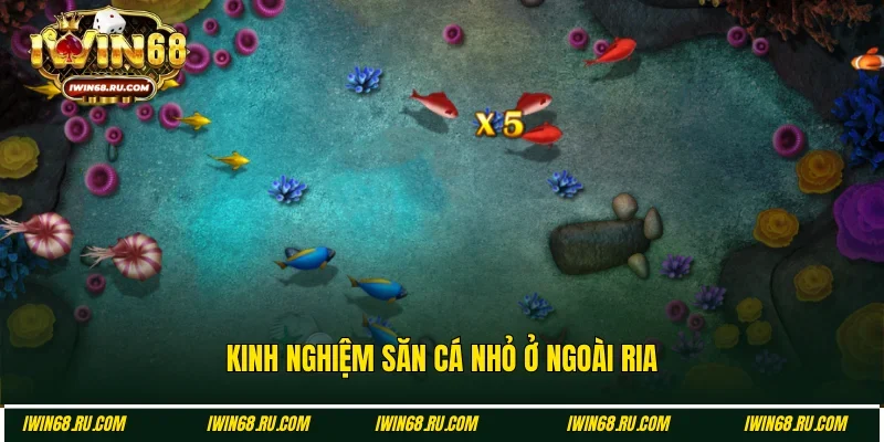 Sử dụng mẹo bắn ria để hạ gục cá nhỏ